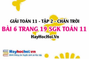 Bài 6 trang 19 Toán 11 tập 2 Chân trời sáng tạo